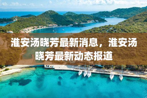 中山市多米克自动化设备有限公司淮安汤晓芳最新消息，淮安汤晓芳最新动态报道