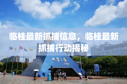 临桂最新抓捕信息，临桂最新抓捕行动揭秘中山市多米克自动化设备有限公司