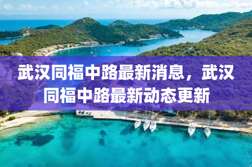 武汉同福中路最新消息，武汉同福中路最新动态更新中山市多米克自动化设备有限公司
