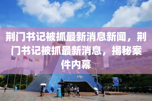 荆门书记被抓最新消息新闻，荆门书记被抓最新消息，揭秘案件内幕中山市多米克自动化设备有限公司