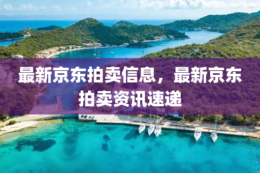 最新京东拍卖信息，最新京东拍卖资讯速中山市多米克自动化设备有限公司递