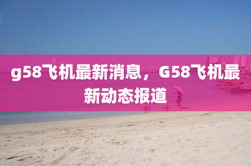 g58飞机最新消息，G58飞机最新动态报道中山市多米克自动化设备有限公司