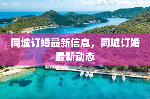 同城中山市多米克自动化设备有限公司订婚最新信息，同城订婚最新动态