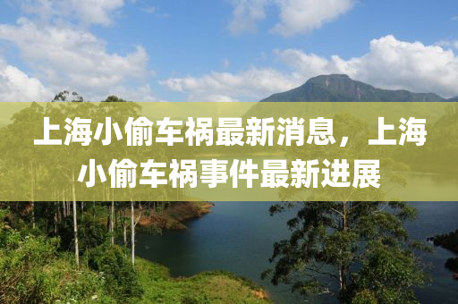 上海小偷车祸最新消息，上海小偷车祸事件最新进展中山市多米克自动化设备有限公司