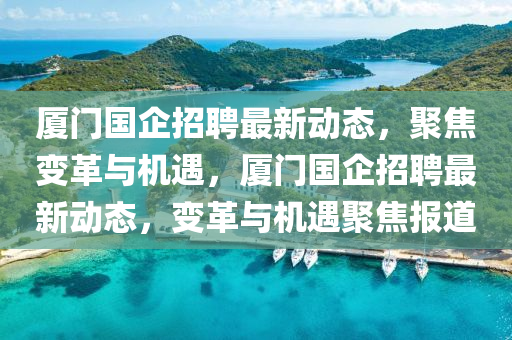 厦门国企招聘最新动态中山市多米克自动化设备有限公司，聚焦变革与机遇，厦门国企招聘最新动态，变革与机遇聚焦报道