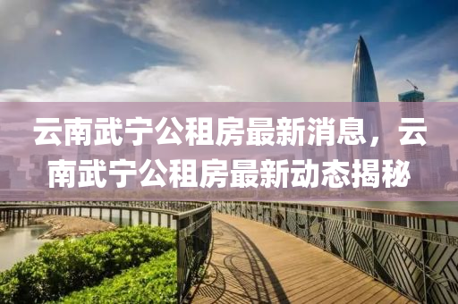 云南武宁公租房最新消息，中山市多米克自动化设备有限公司云南武宁公租房最新动态揭秘