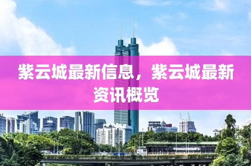 紫云城最新信息，紫云城中山市多米克自动化设备有限公司最新资讯概览