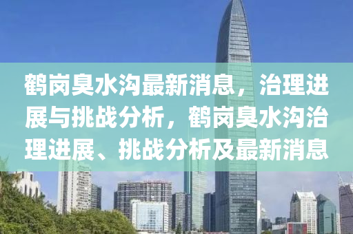 鹤岗臭水沟最新消息，治理进中山市多米克自动化设备有限公司展与挑战分析，鹤岗臭水沟治理进展、挑战分析及最新消息