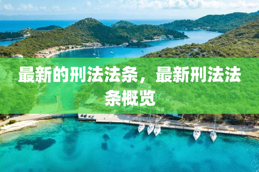 最新的刑法法条，最新刑法法条概览
