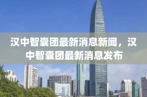 汉中智囊团最新消息新闻，汉中智囊团最新消息发布