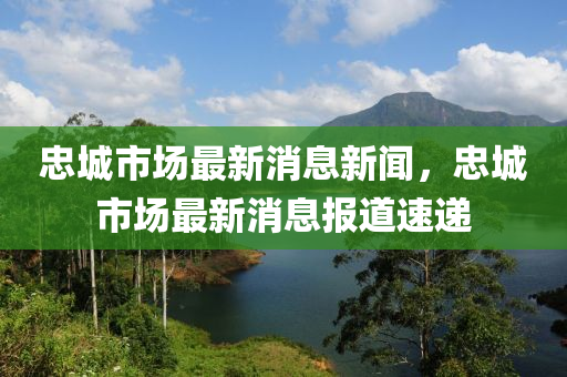 忠城市场最新消息新闻，忠城市场最新消息报道速递