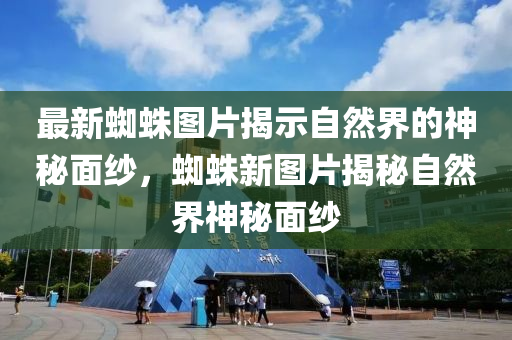 最新蜘蛛图片揭示自然界的神秘面纱，蜘蛛新图片揭秘自然界神秘面纱