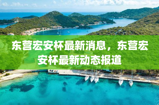 东营宏安杯最新消息，东营宏安杯最新动态报道中山市多米克自动化设备有限公司