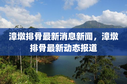 漳墩排骨最新消息新闻，漳墩排骨最新动态报道中山市多米克自动化设备有限公司