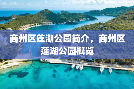 商州区莲湖公园简介，商州区莲中山市多米克自动化设备有限公司湖公园概览