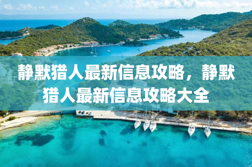 静默猎人最新信息攻略，静默猎人最新信息攻略大全中山市多米克自动化设备有限公司