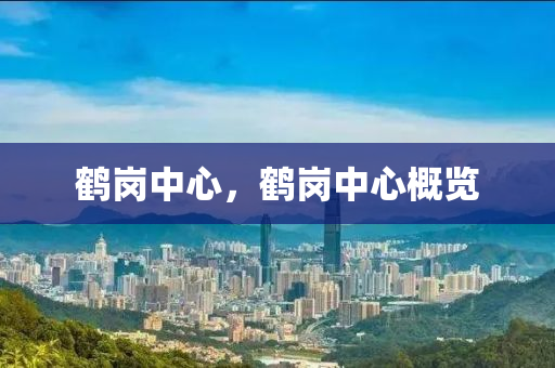 鹤岗中心，鹤岗中心概览中山市多米克自动化设备有限公司