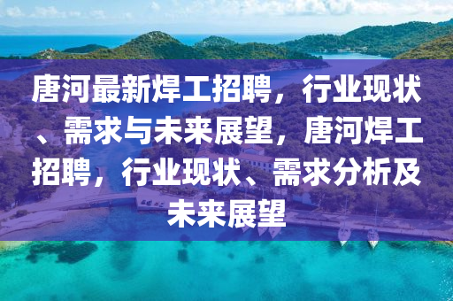 唐河最新焊工招聘，行业现状、需求与未来展望，唐河焊工招聘，行业现状、需求分析及未来展望中山市多米克自动化设备有限公司